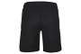 Obrázek (2)